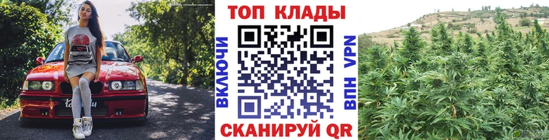 Что такое Бор COCAIN  Alpha PVP  МЕФ  Гашиш  Канабис 