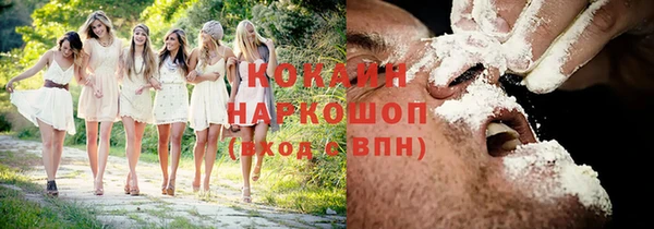 хмурый Бердск