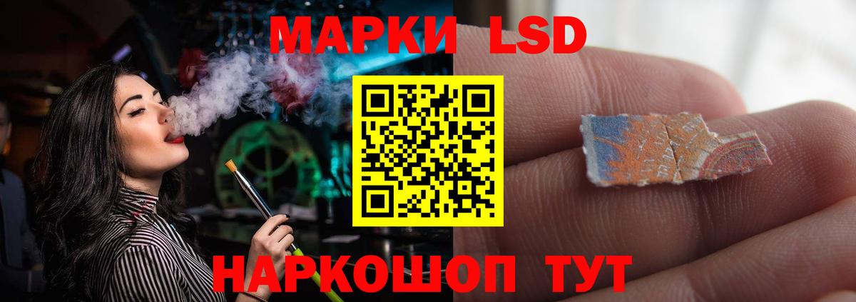 Псилоцибиновые грибы Бор