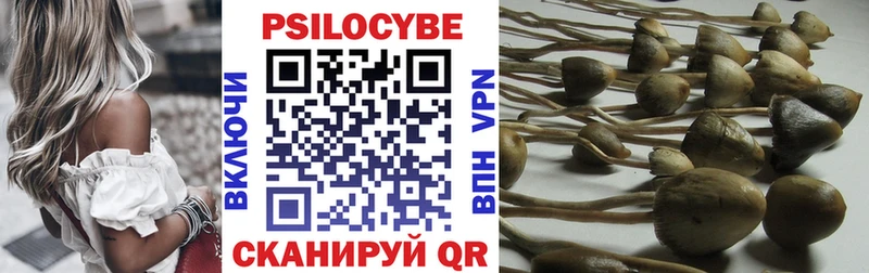 Галлюциногенные грибы MAGIC MUSHROOMS  hydra сайт  Бор  наркота 