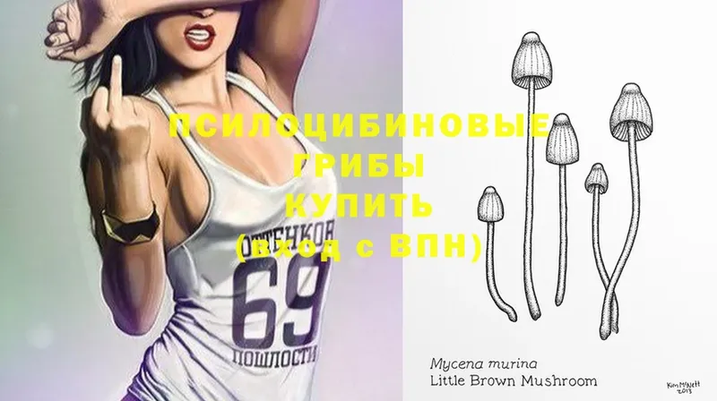 Псилоцибиновые грибы MAGIC MUSHROOMS  как найти   Бор 