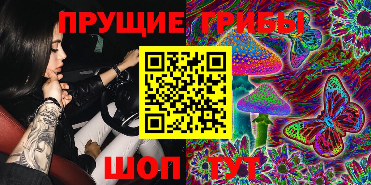 Бор  Галлюциногенные грибы MAGIC MUSHROOMS  Вход с VPN 
