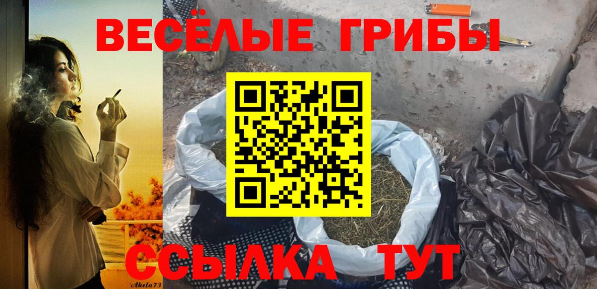 Галлюциногенные грибы MAGIC MUSHROOMS Бор