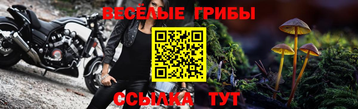Галлюциногенные грибы мицелий Бор